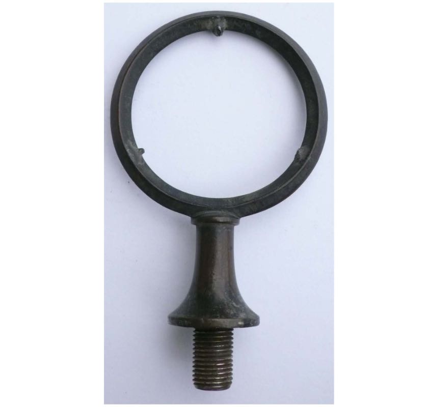 Ring_Träger_2.jpg