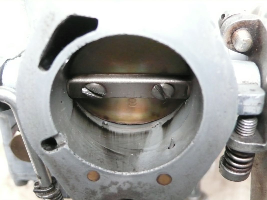 L1140290.JPG