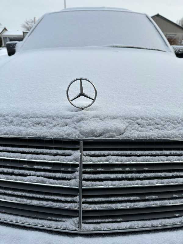 snow124.jpg