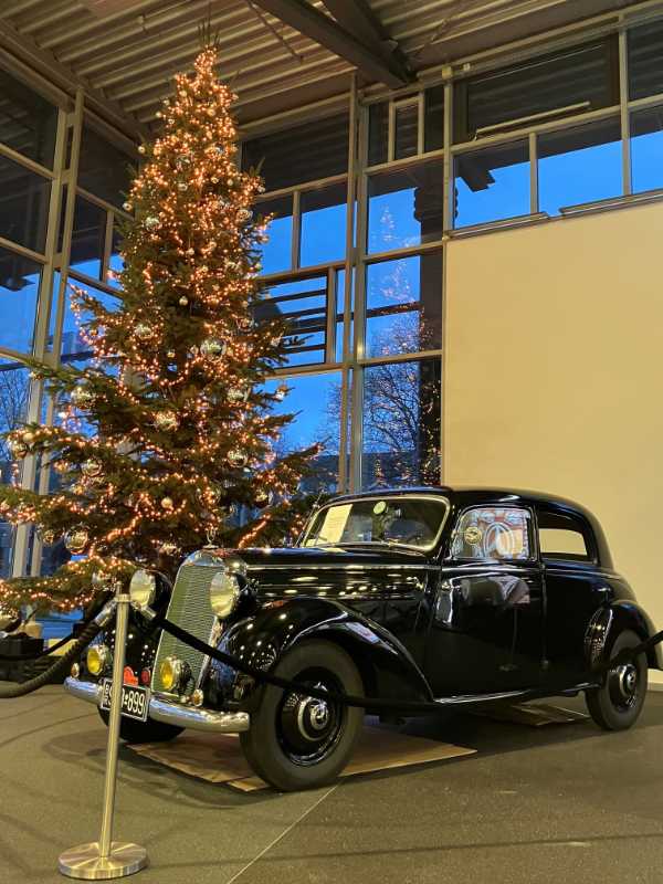 2024-12-11-Auto und Baum Baum.jpg