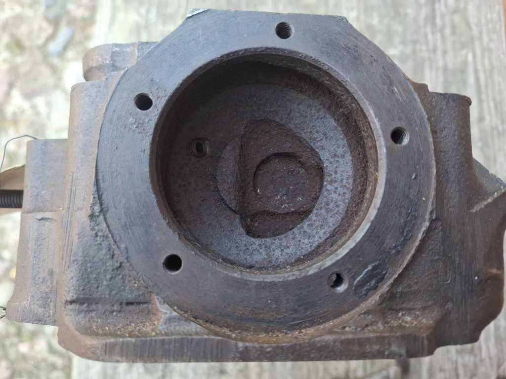 Kopf 180 D v. vorn.jpg