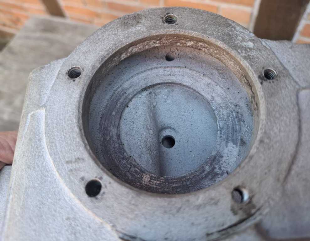 Kopf 180 v. vorn.jpg