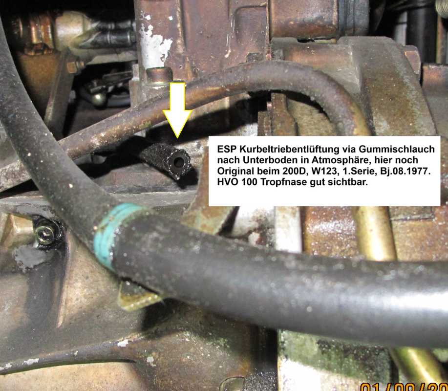 ESP KT-Entlüftung.JPG